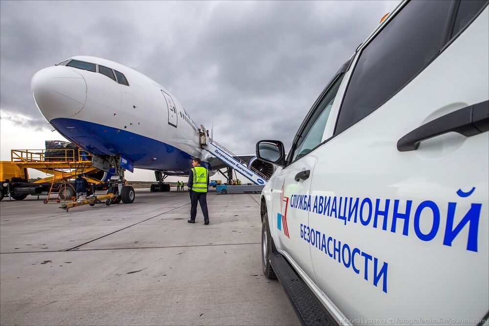 Проверить сколько лет работает сайт служба срочная авиадоставка. Введите здесь адрес нашего сайта