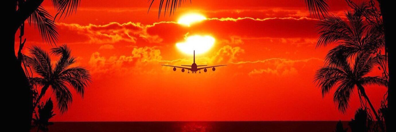 Рейс самолет онлайн. Движение самолетов в реальном времени