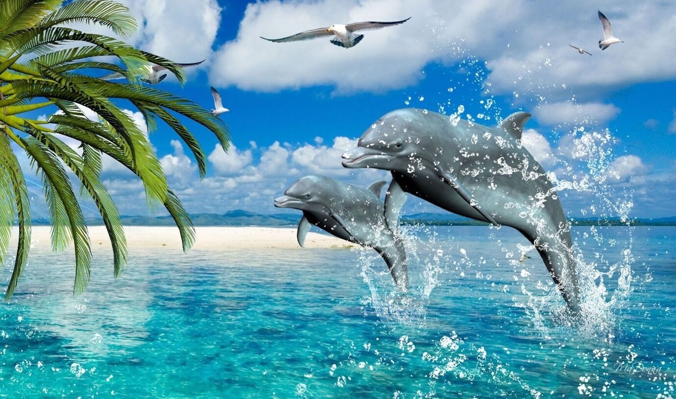 Дельфин - ведущий туроператор по внутреннему туризму